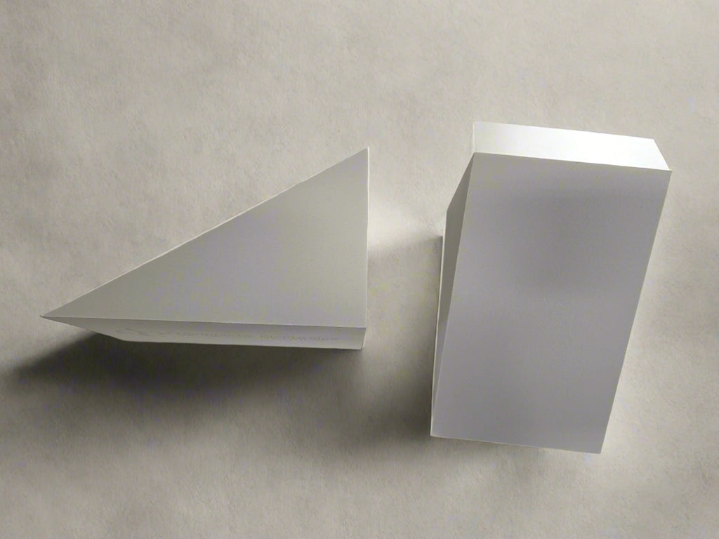 Triangle CBP® Mirror Image Adjusting, Exercise & Stretching Blocks